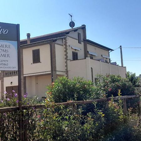 Agriturismo Il Vecchio Olivo Castagneto Carducci Ngoại thất bức ảnh