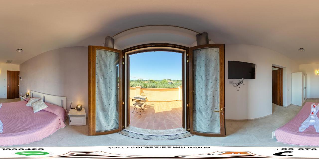 Agriturismo Il Vecchio Olivo Castagneto Carducci Ngoại thất bức ảnh