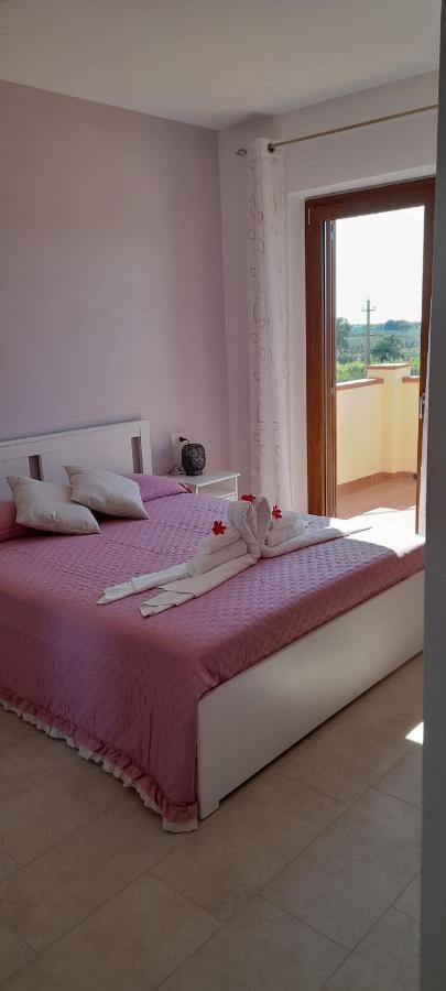 Agriturismo Il Vecchio Olivo Castagneto Carducci Ngoại thất bức ảnh