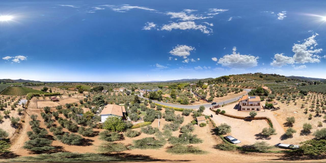 Agriturismo Il Vecchio Olivo Castagneto Carducci Ngoại thất bức ảnh