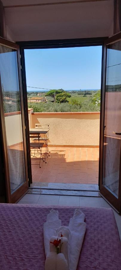 Agriturismo Il Vecchio Olivo Castagneto Carducci Ngoại thất bức ảnh
