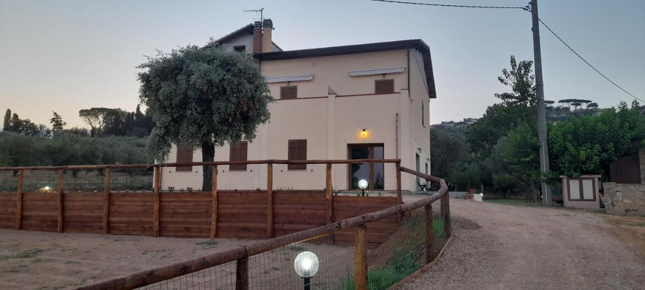 Agriturismo Il Vecchio Olivo Castagneto Carducci Ngoại thất bức ảnh