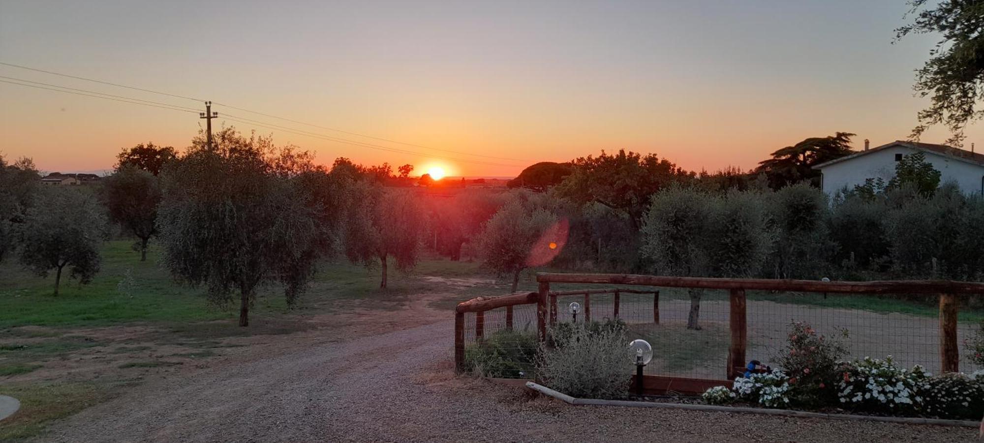 Agriturismo Il Vecchio Olivo Castagneto Carducci Ngoại thất bức ảnh