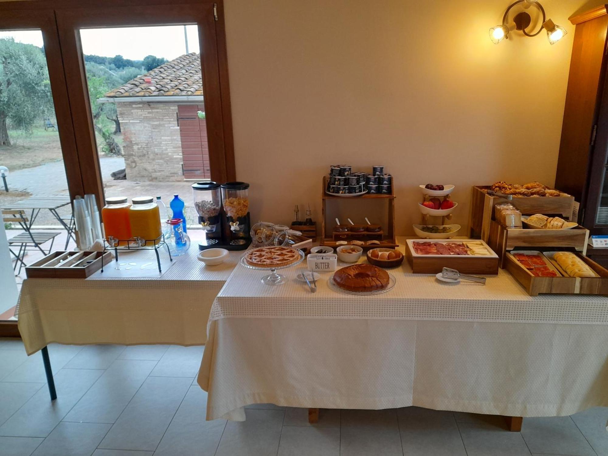 Agriturismo Il Vecchio Olivo Castagneto Carducci Ngoại thất bức ảnh